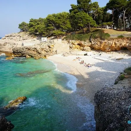 Ivankovic*** * Пула