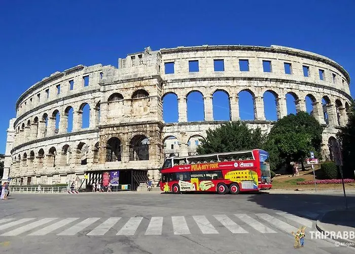 Ivankovic*** * Пула