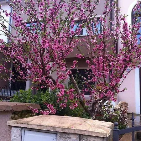 Ivankovic*** Apartament Pula