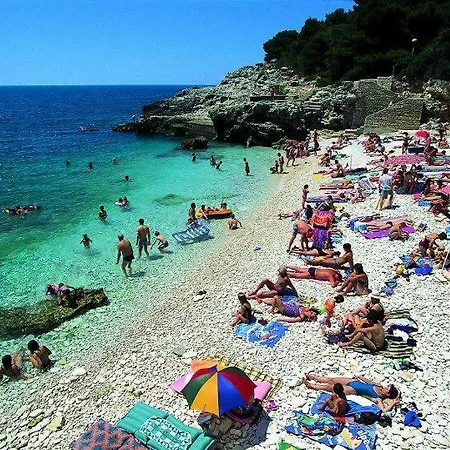 Apartman Ivankovic*** *