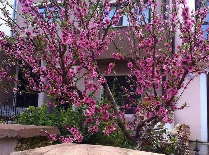 Ivankovic*** Apartman Póla