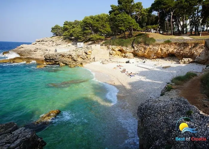 Ivankovic*** * Póla