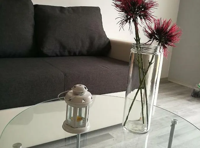 Apartment Ivankovic***