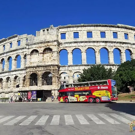 Ivankovic*** * Pula